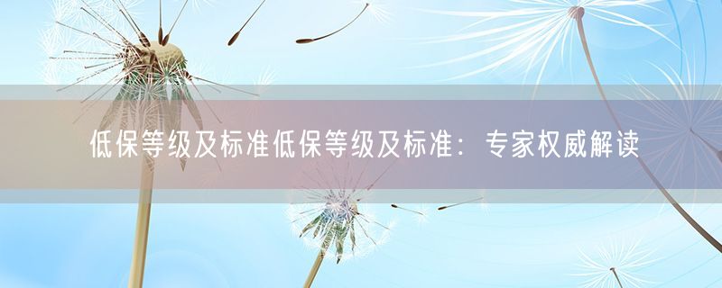 <strong>低保等级及标准低保等级及标准：专家权威解读</strong>