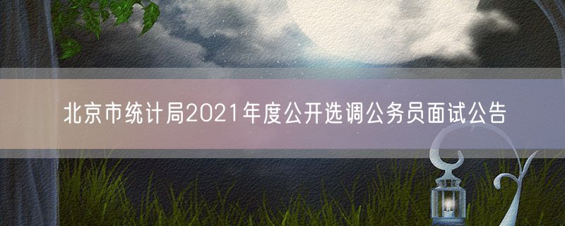 北京市统计局2021年度公开选调公务员面试公告